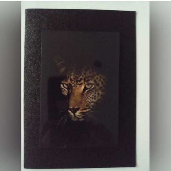 (2 diff) Leopard art. * [Choose one] - Picture 2 of 8